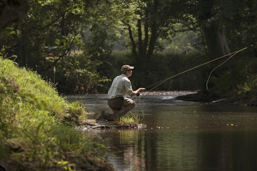 Country Pursuits near The Beckford Arms