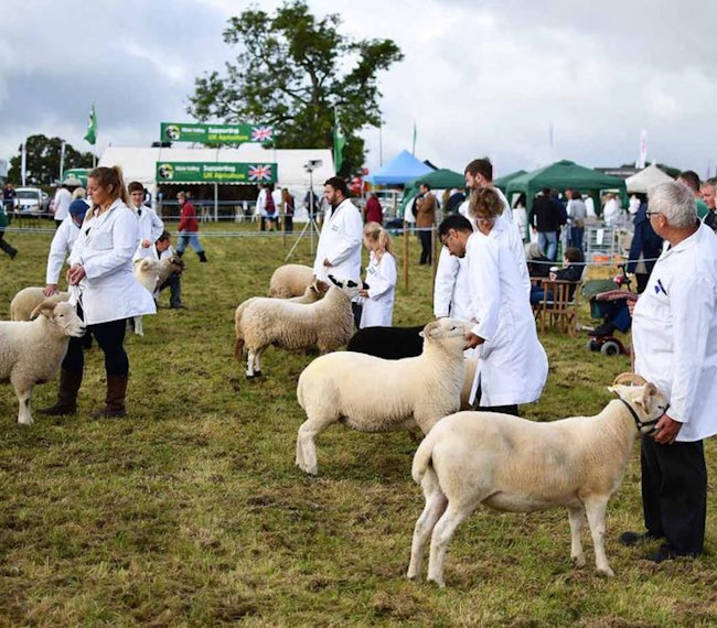 Frome Agricultural & Cheese Show